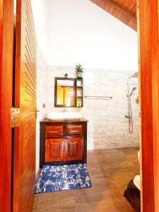 a bathroom with a sink and a mirror at Anu villa Bentota in Bentota