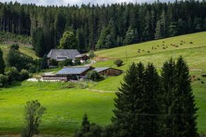 a house in the middle of a green field at Lippenhof - Unter der Linde in Unterkirnach
