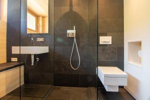 a bathroom with a shower and a toilet and a sink at Lippenhof - Unter der Linde in Unterkirnach