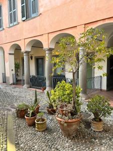a group of potted plants in front of a building at La Corte Dei Cappuccini in Bergamo