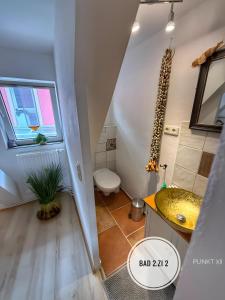 a bathroom with a sink and a toilet at Wohnung 8 in Burghaslach