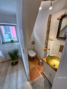 a bathroom with a sink and a toilet at Wohnung 8 in Burghaslach
