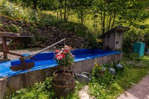 a blue tub with a plant in a garden at Ferienwohnung Teich 11, 126qm in Gütenbach