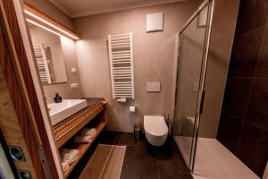 a bathroom with a shower and a sink and a toilet at Kieserhof Apartment Wald in Terento