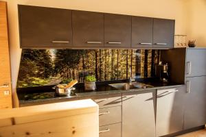 a kitchen with a sink and a refrigerator at Kieserhof Apartment Wald in Terento