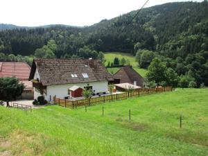 a house in the middle of a field with trees at Ferienwohnung Faller in Elzach