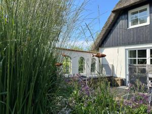 a house with a garden with tall grass at Loft32 in Nordstrand