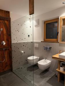 a bathroom with a shower and a toilet and a sink at Ladinser Hof Kuschelecke in Castelrotto +10 photos