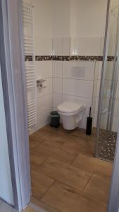 a bathroom with a toilet and a glass shower at Fewo einzigartige Aussicht im Harz in Walkenried