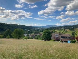a field of tall grass with houses in the background at Ferienwohnung Verschnuufeckli in Wehr +7 photos