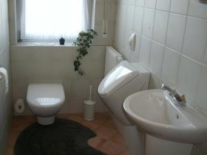 a bathroom with a white toilet and a sink at Ferienwohnung Waltraud in Brilon +19 photos