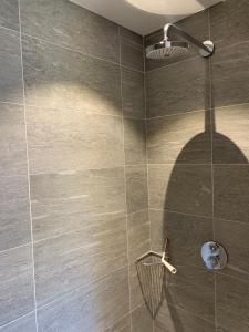 a bathroom with a shower with a brown tile wall at Flambeaux A 12 Roca immobilier in Châtel +10 photos