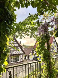 a view through the trees of a house at Schwarzwald Martini in Sasbachwalden