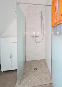 a shower with a glass door in a bathroom at Ferienwohnung Waldblick in Fuhlendorf +23 photos