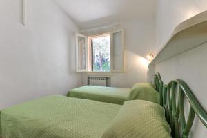 a row of green beds in a room with a window at Appartamento La Spiga in Procchio