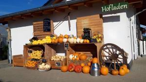a display of pumpkins and other fruits and vegetables at Ferienwohnung Wilhelmshof in Sinzig