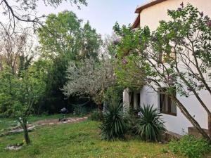 a house with a garden and trees at Jinn's Valley Apartment in Grižane