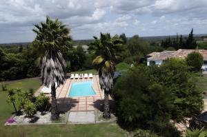an aerial view of a house with a swimming pool and two palm trees at Sesmarias Dos Nobres in Azinheira dos Barros