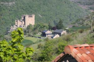 a castle on the side of a hill with houses at Roulotte De Cabrières in Compeyre