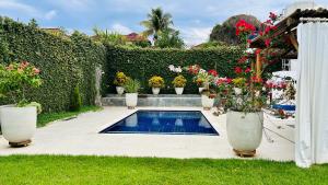 a swimming pool with potted flowers in a yard at Casa da Dóta no paraíso de Furnas e Capitólio in São José da Barra