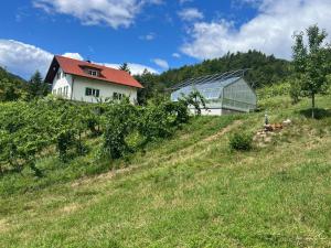 a house and a greenhouse on a hill next to a field at Weingut Kleinmonte in Leutschach