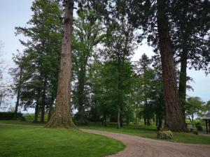 a dirt road through a park with trees at Le Chalêt La Neverdiere in Ygrande