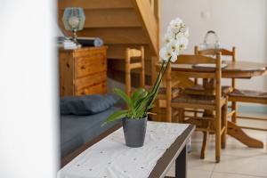 a potted plant on a table in a living room at Maison Kaoz Korriganez in La Boussac