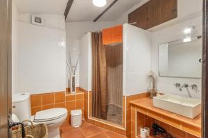 a bathroom with a toilet and a shower and a sink at Can Marc in Dosríus +24 photos