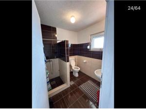 a bathroom with a toilet and a sink at Villa Ilijas 3 bedrooms in Ilijaš +23 photos