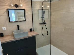 a bathroom with a shower with a sink and a mirror at Gîte Les Pirouettes in Pirou +17 photos