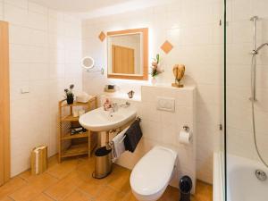 a bathroom with a sink and a toilet and a shower at Ferienwohnung Storchenaue in Wächtersbach +16 photos