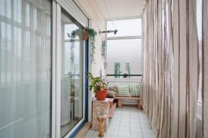 a balcony with a cat sitting on the floor next to a window at Casa da Mãe Maria in Buarcos