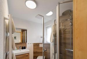 a bathroom with a shower and a sink at Ferienwohnung Wiesenschneiders in Freiensteinau +18 photos