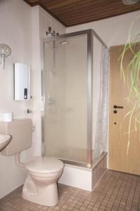 a bathroom with a toilet and a glass shower at Rauber Marie Theres in Abentheuer +13 photos