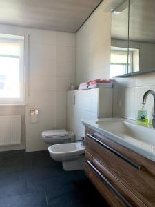 a bathroom with a sink and a toilet and a mirror at Ferienwohnung Waldhütter in Schwarzenbach an der Saale +8 photos