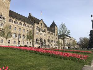 a large building with red tulips in front of it at Viktoria in Koblenz