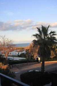 a palm tree on the side of a street at Sol Isla - Binimar in Arenal d'en Castell