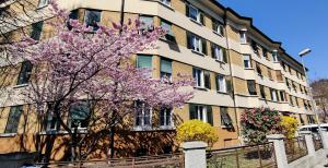 a flowering tree in front of a building at Central Suite Meran in Merano +16 photos