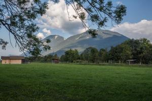 a field of grass with a mountain in the background at Seehaus Alm in Ruhpolding