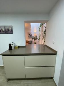 a kitchen with a counter top in a room at La morena in Guaro
