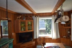 a living room with a tv and a window at Hubertushütte in Kurort Oberwiesenthal