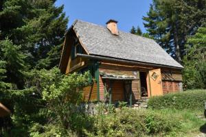 an old cabin in the woods with trees at Hubertushütte in Kurort Oberwiesenthal