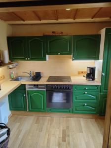 a green kitchen with a stove and a sink at Hubertushütte in Kurort Oberwiesenthal