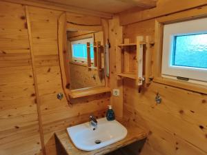 a bathroom in a log cabin with a sink and a window at Hubertushütte in Kurort Oberwiesenthal +21 photos