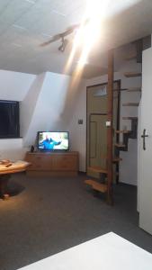 a living room with a tv and a ceiling at Ferienwohnung Hiddenseeblick 2 in Dranske