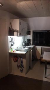 a kitchen with a sink and a counter top at Ferienwohnung Hiddenseeblick 2 in Dranske