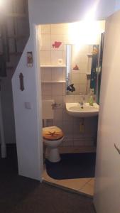 a bathroom with a toilet and a sink at Ferienwohnung Hiddenseeblick 2 in Dranske