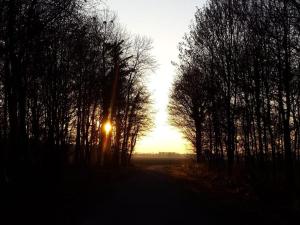 a sun setting behind some trees on a road at Haus48 in Neuried