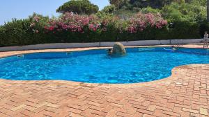 a swimming pool with blue water and pink flowers at Villa Edith in Parghelia