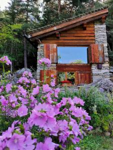 a small cabin with pink flowers in front of it at Chalet Armonia Res Albert in San Guglielmo